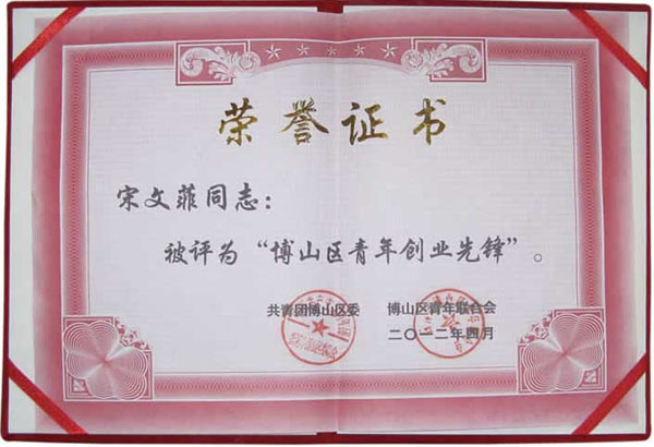榮譽(yù)證書 博山區(qū)青年創(chuàng)業(yè)先鋒 宋文菲